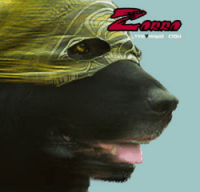 Zorro